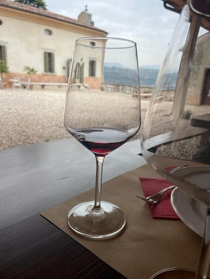 Walk in Valpolicella and fine wine tasting in historic palace 15