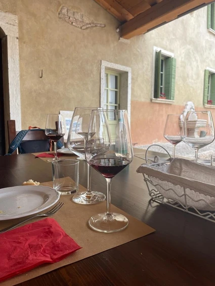 Walk in Valpolicella and fine wine tasting in historic palace 14
