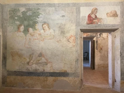 Passeggiata in Valpolicella e degustazione di vini pregiati in palazzo storico 10