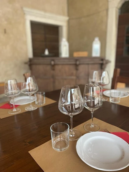 Passeggiata in Valpolicella e degustazione di vini pregiati in palazzo storico 6