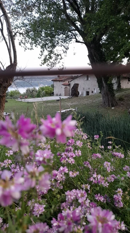 Il pic-nic naturale nel casale con vista sul Lago di Garda 4