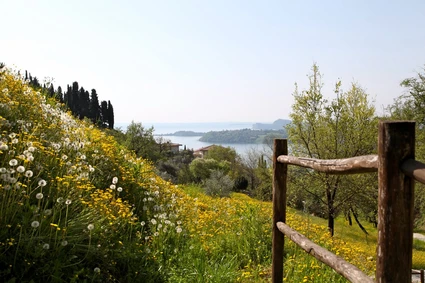 Il pic-nic naturale nel casale con vista sul Lago di Garda 6