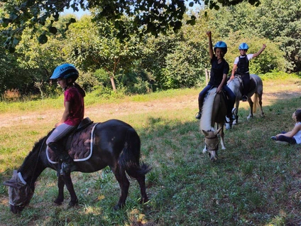Passeggiata sul pony per bambini al Lago di Garda 1