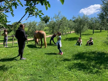 Individual riding lesson for beginners at Lake Garda 3