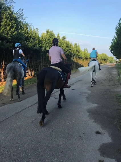 Passeggiata a cavallo nel ranch con vista sul Lago di Garda 5 Passeggiata a cavallo nel ranch con vista sul Lago di Garda 5