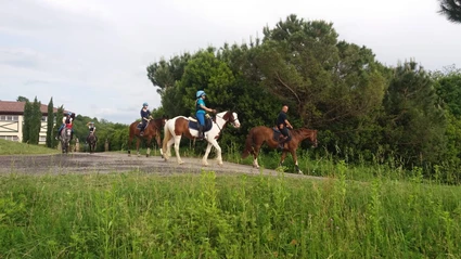 Horseback riding on the ranch with a view of Lake Garda 6