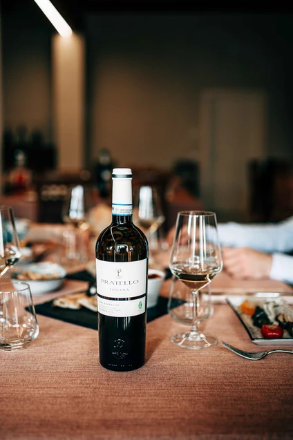 Wine tasting at Lake Garda: Unexpected Valtenesi