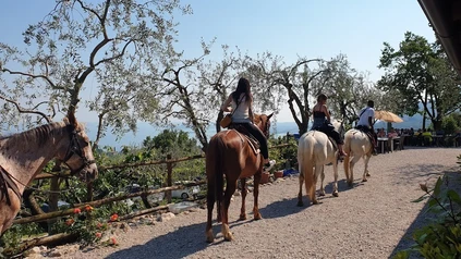 Horseback riding excursion for experts with tasting of local products 9