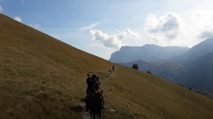 Horseback riding excursion for experts with tasting of local products 6