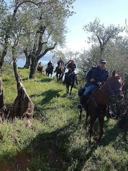Horseback riding excursion for experts with tasting of local products 1