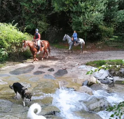 Horseback riding excursion for experts with tasting of local products 5