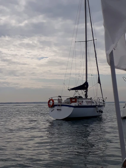 20190907_113952.jpg