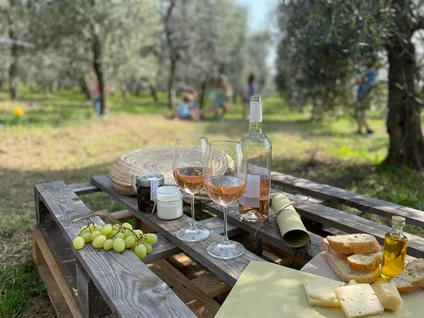 Bio-Picknick unter den Olivenbäumen im Hinterland des Gardasees 10