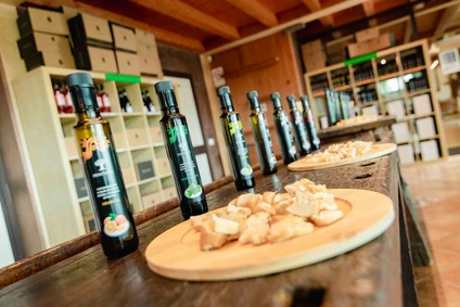 Degustazione di olio extravergine e di vini biologici al Lago di Garda 10