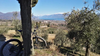 E-Bike/MTB Tour: die Valtenesi der Schlösser und der Rocca di Manerba 5