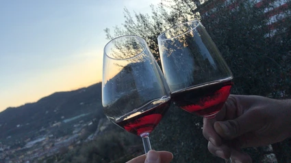 Degustazione di vini del Lago di Garda in villa del Settecento 6