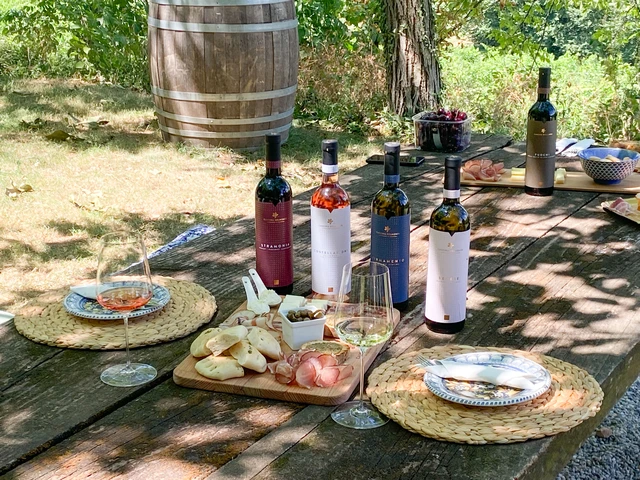 Country picnic at Lake Garda