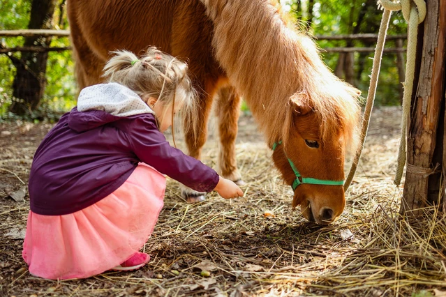 Children and ponies in the gnome forest in the hinterland of Lake Garda