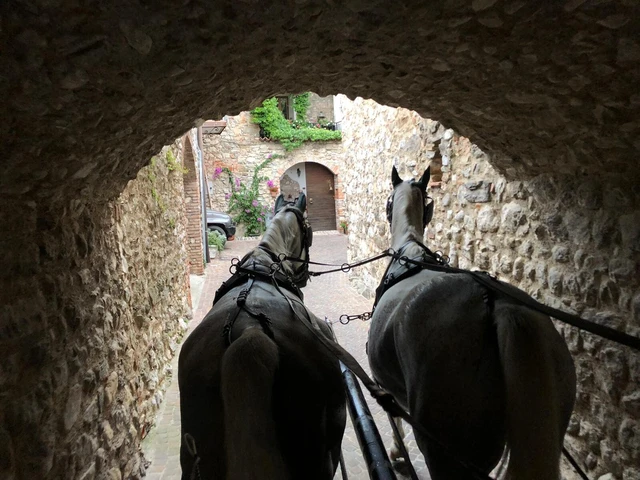 Carriage ride with lunch at Lake Garda