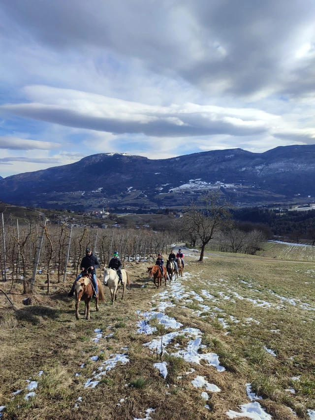 3-hour horseback ride through nature and historic villages in the Trentino Dolomites