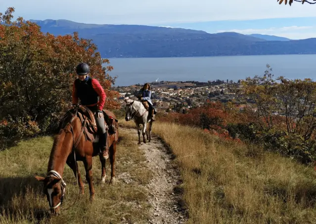 Passeggiata a cavallo e degustazione di prodotti locali al Lago di Garda